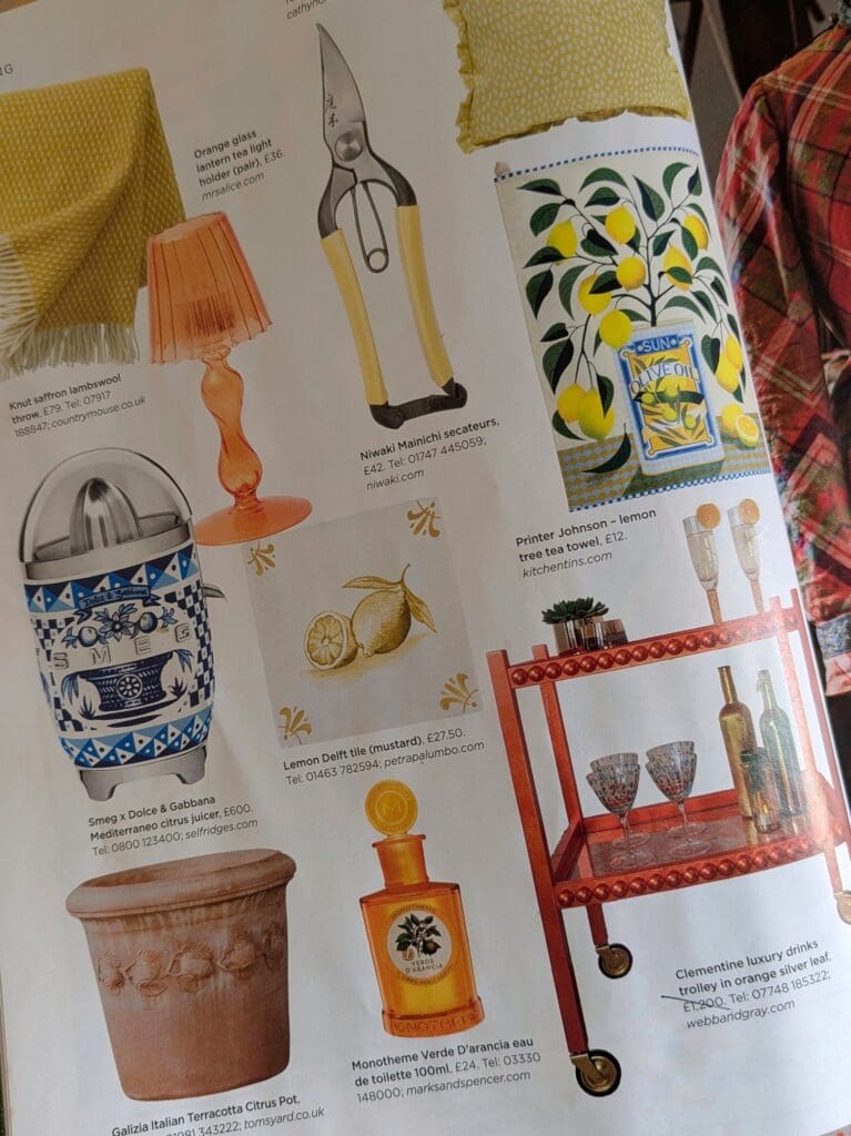 The English Garden Magazine shopping feature